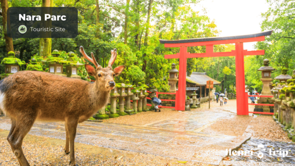 Osaka & Nara : The Only Guide - Frequently Asked Questions