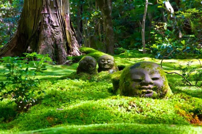Osaka: Nara & Uji Day Tour: Deer Park, Matcha & Hot Springs - Uji Experiences
