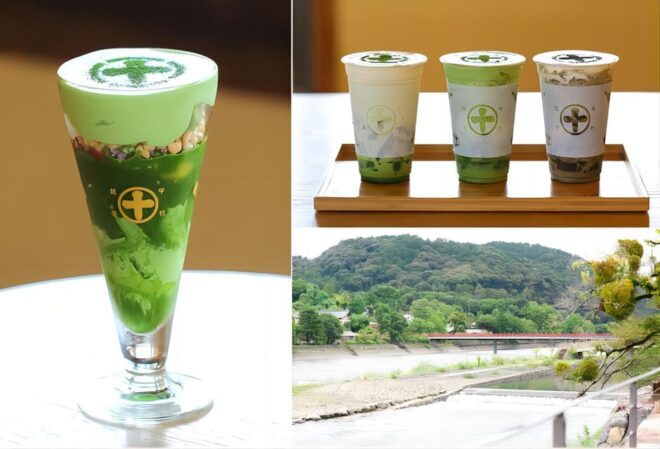 Osaka: Nara & Uji Day Tour: Deer Park, Matcha & Hot Springs - Culinary Delights