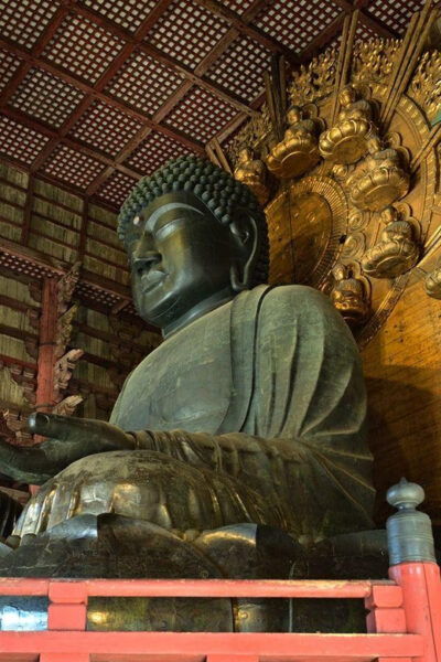 Osaka: Nara & Uji Day Tour: Deer Park, Matcha & Hot Springs - Important Travel Information