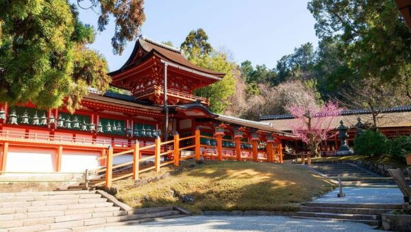 Osaka: Nara & Uji Day Tour: Deer Park, Matcha & Hot Springs - Frequently Asked Questions