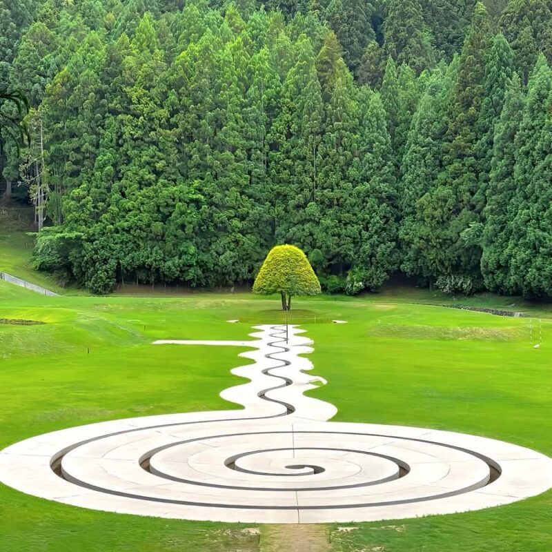 Osaka: Naras Hidden-gem Temples, Art Forest Day Tour - Good To Know