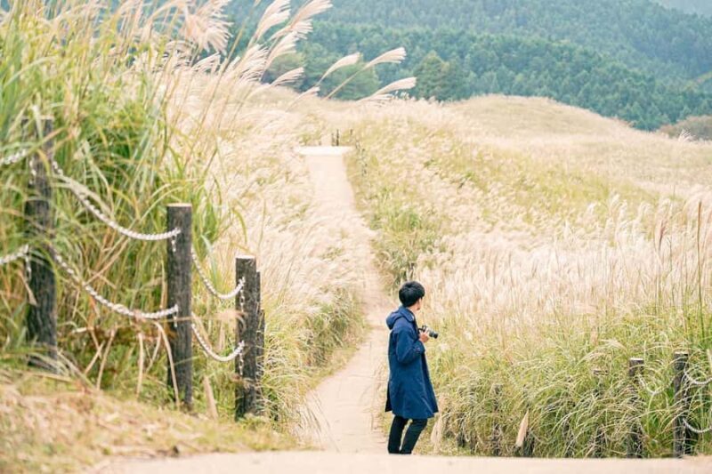 Osaka: Naras Hidden-gem Temples, Art Forest Day Tour - Good To Know