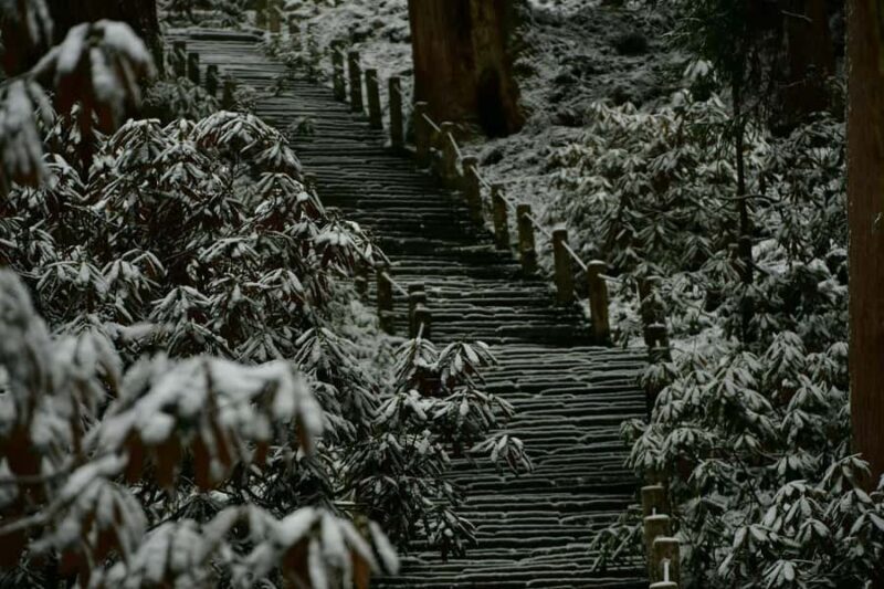 Osaka: Naras Hidden-gem Temples, Art Forest Day Tour - A Complete Look at the Tour Experience