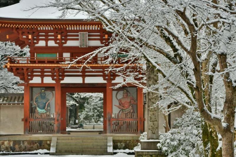 Osaka: Naras Hidden-gem Temples, Art Forest Day Tour - Final Thoughts