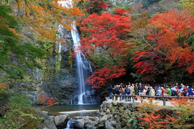 Osaka Nature Walking Tour - Minoh Hidden Beauty - The Sum Up