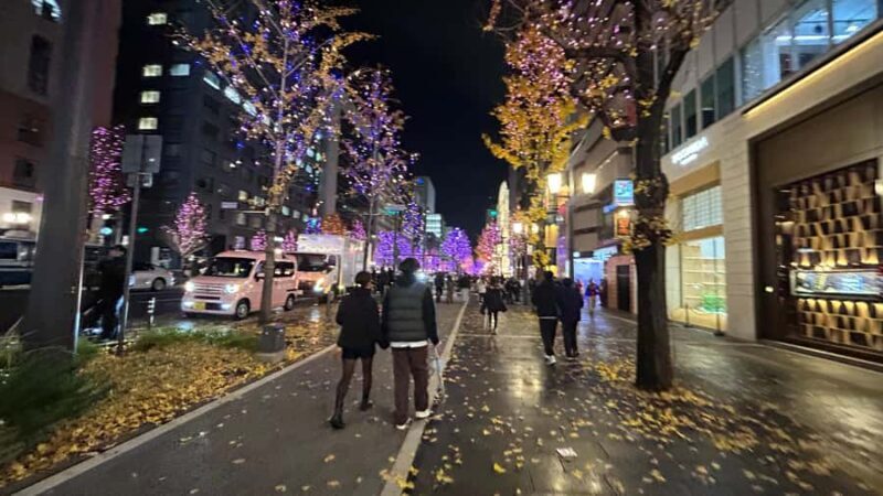 Osaka Night Tour: Hidden Alleys & Local Streets - Final Thoughts