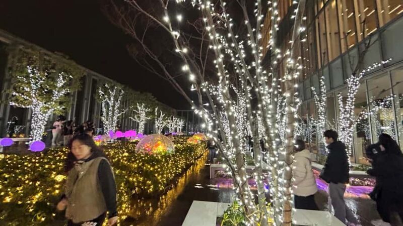 Osaka Night Tour: Hidden Alleys & Local Streets - FAQ