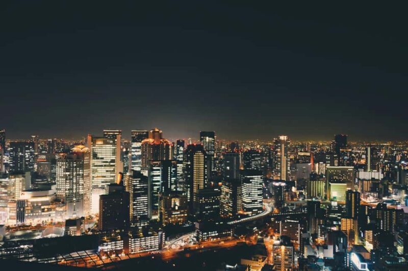 Osaka: Night Tour with Dotonbori & Panoramic Views - Who Will Love This Tour?
