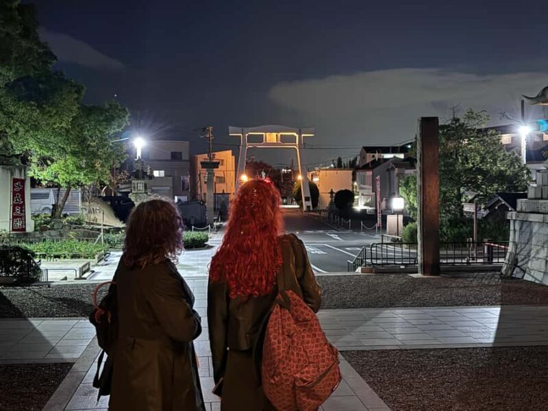 Osaka: Night view and Jinjya tour - The Sum Up