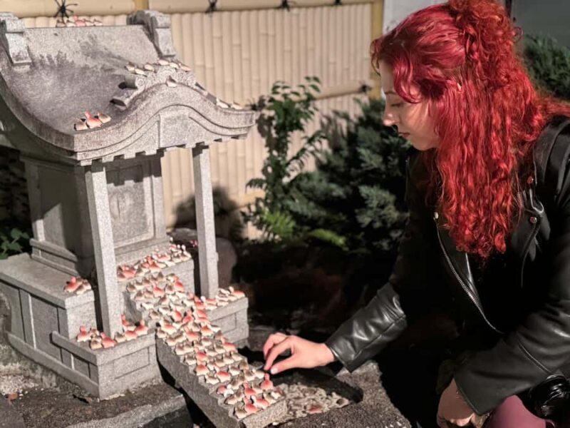 Osaka: Night view and Jinjya tour - Good To Know