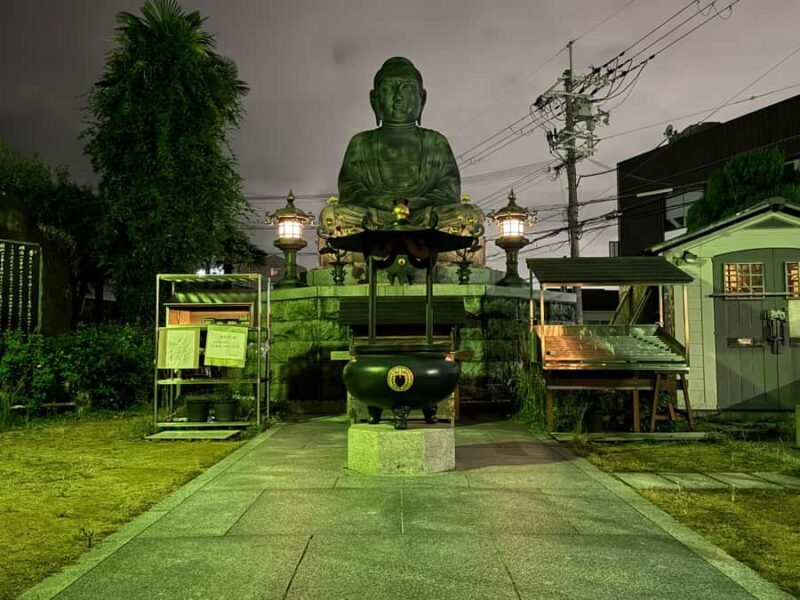 Osaka: Night view and Jinjya tour - Who Will Appreciate This Tour?