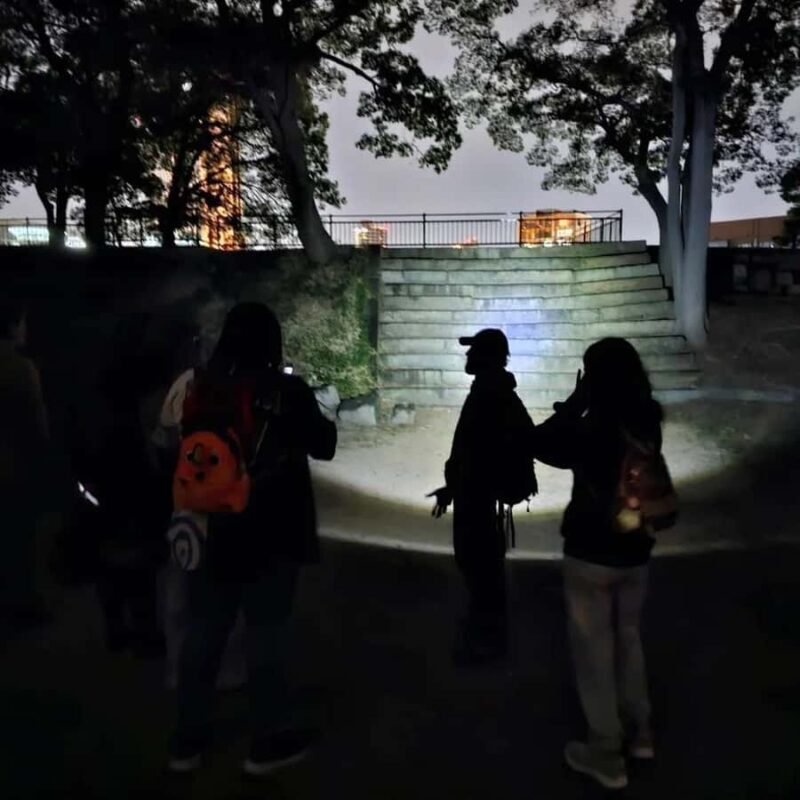 Osaka: Osaka Castle Haunted Night Walk - Good To Know