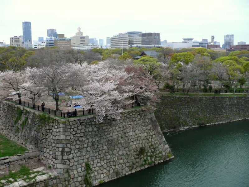 Osaka: Osaka Castle & Samurai History Walking Tour - Who Should Consider This Tour?