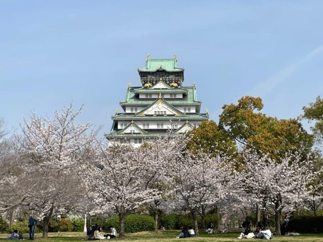 Osaka: Osaka Castle Tower Guided Tour - Reservation Information