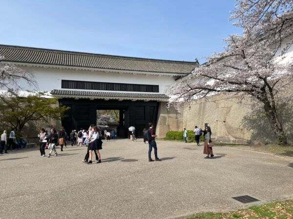 Osaka: Osaka Castle Tower Guided Tour - Visitor Options