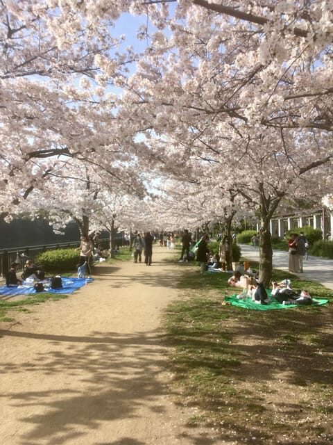 Osaka: Private and Fully Customized Tour with Hotel Meet Up - Good To Know