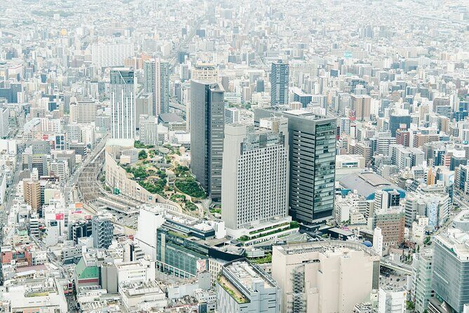 Osaka Private Cessna Flight Over Osaka Castle and UNESCO Sites - Practical Tips for Your Flight