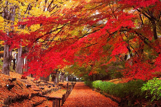 Osaka Private Charter Tour Miyama & Amanohashidate & Uji Routes - The Sum Up