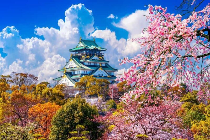 Osaka: Private Custom Full-Day City Tour with Hotel Pickup - Why Choose a Private Custom Tour in Osaka?