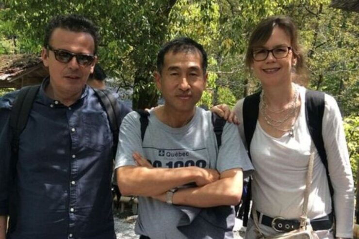 Osaka: Private Custom Tour With a Local Guide - Activity Details