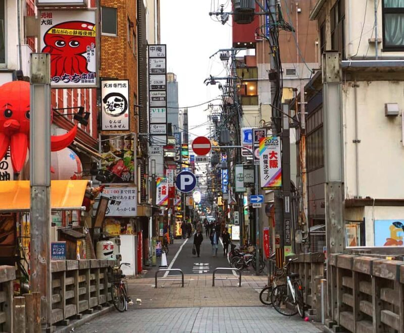 Osaka Private Customizable Sightseeing Tour with Chauffeur - Frequently Asked Questions (FAQs)