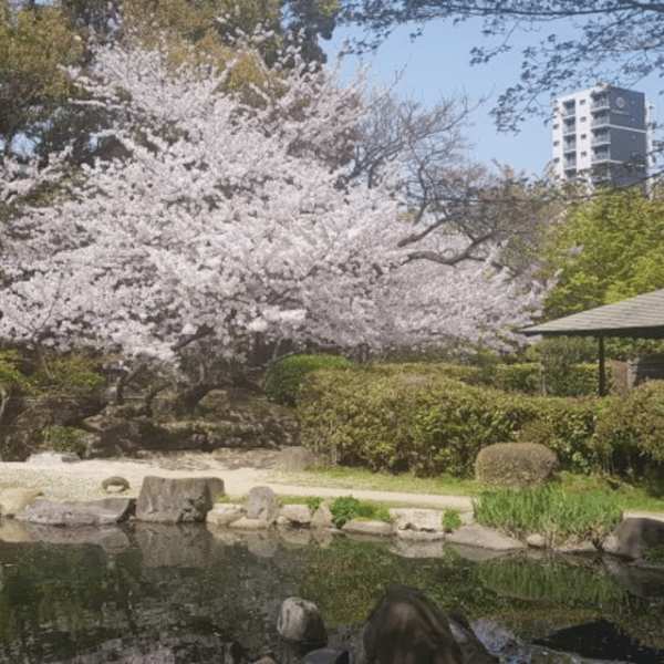 Osaka: Private Customizable Tour By English Speaking Driver - Preparation Tips for Tourists