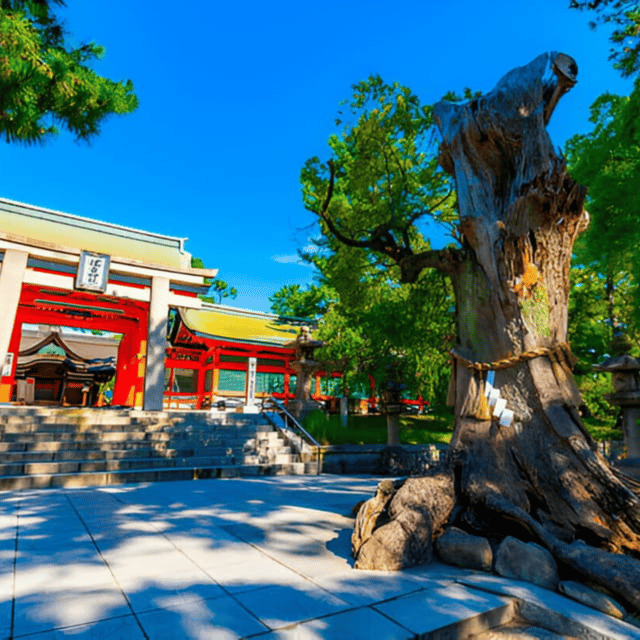 Osaka: Private Customizable Tour By English Speaking Driver - Good To Know