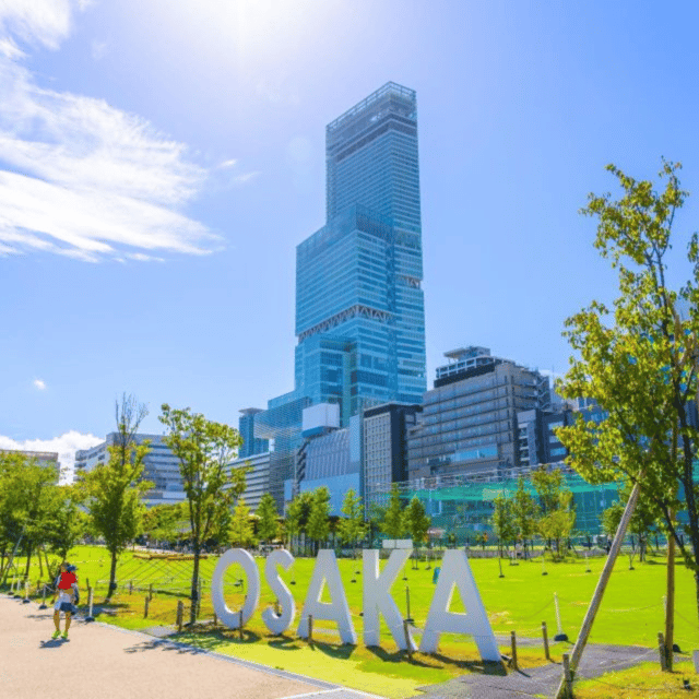 Osaka: Private Customizable Tour By English Speaking Driver - Important Information