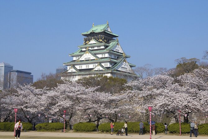 Osaka Private Customize Tour With English Speaking Driver - Reviews