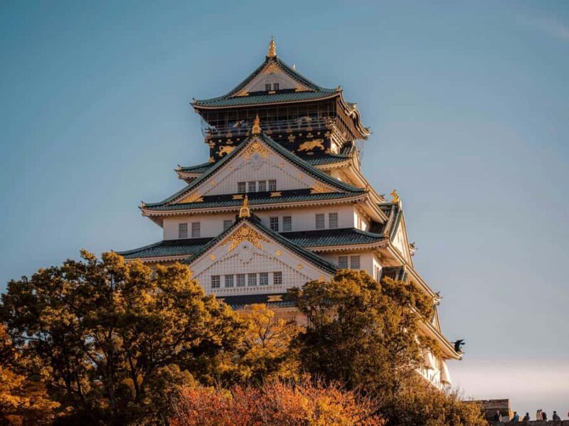 Osaka Private Experience Sushi Making & City Food Tour - Good To Know
