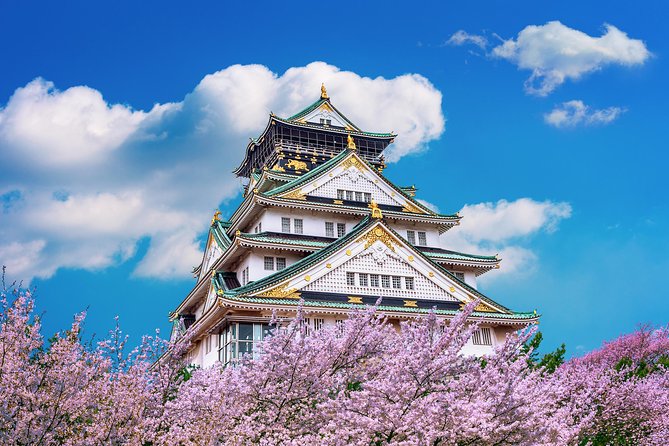 Osaka Private Food Tours by Local Foodies: 100% Personalized - Positive Customer Feedback