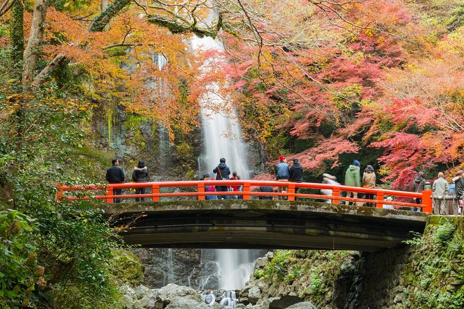 Osaka Private Food Tours by Local Foodies: 100% Personalized - Pricing and Booking Details