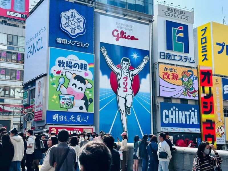 Osaka: Private Full Day City Highlights Car Tour - Authentic Insights from Reviewers