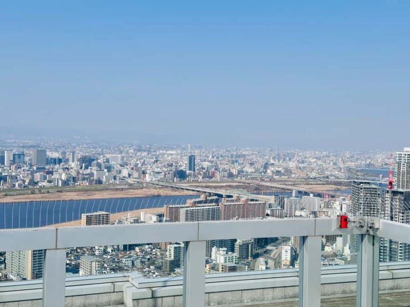 Osaka: Private Full Day City Highlights Car Tour - Transportation, Timing, and Group Dynamics