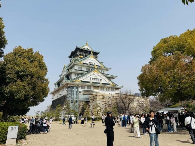 Osaka: Private Full Day City Highlights Car Tour - Final Thoughts on Value and Suitability