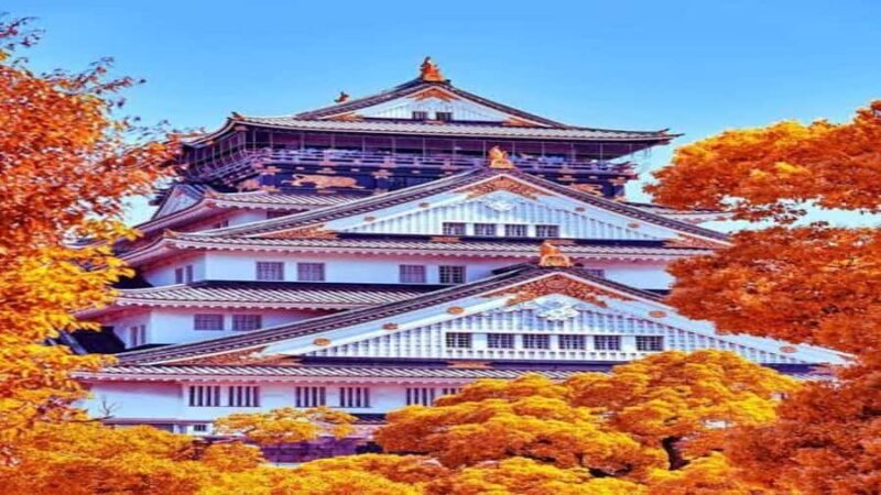 Osaka: Private Guided Tour with Customizable Itinerary - Exploring Osaka with a Private Guide