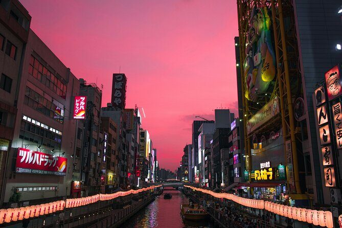 Osaka Private Hightlights Tour Customizable & English Driver - Final Thoughts