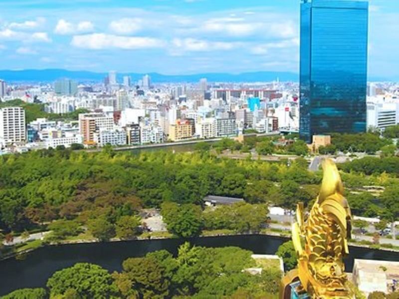 Osaka: Private Osaka Castle Walking Tour with Tower Admission - Booking details worth checking
