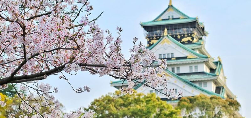 Osaka Private & Personalized City Highlights and Hidden Gems Tour - A personal walk through Osaka, not a fixed sightseeing route