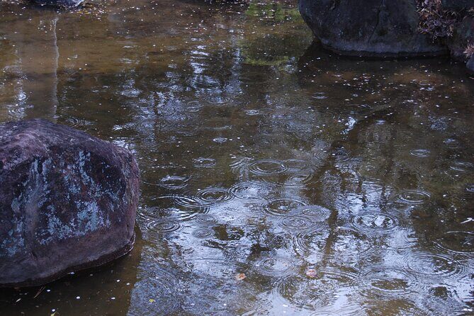 Osaka Private Tour of Shitennoji, Osakas Oldest Temple - Insights from Reviews & Additional Notes