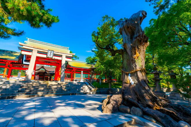 Osaka Private Tour With an English-Speaking Driver - Personalized Tour Experience