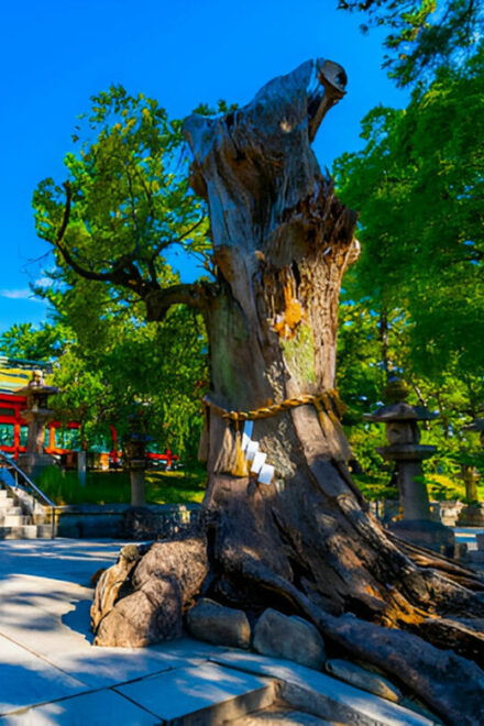 Osaka Private Tour With an English-Speaking Driver - Inclusions and Exclusions