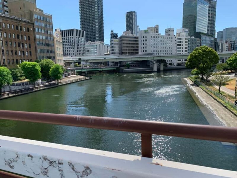 Osaka: Private Walking Tour with a Spanish-Speaking Guide - An Authentic Introduction to Osaka