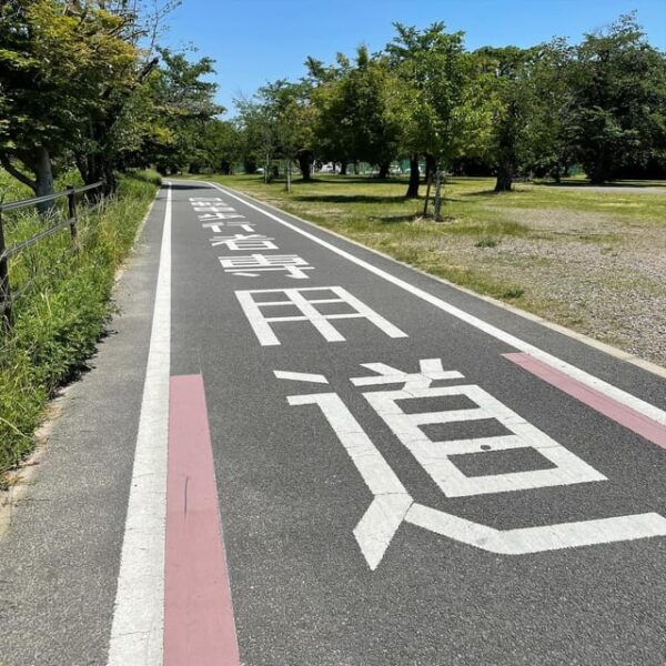 Osaka: Rent a Touring Bike in Osaka and Return in Kyoto! - Safety Precautions