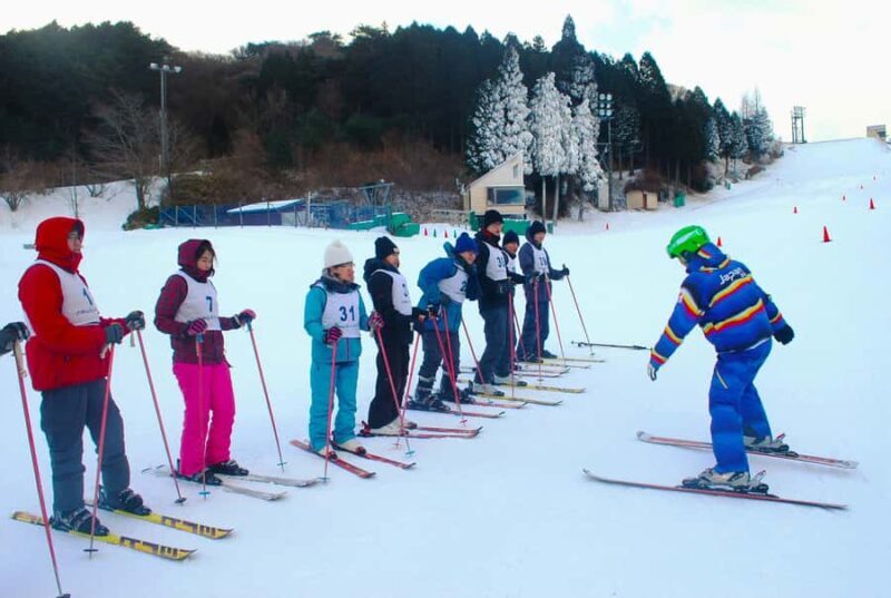 Osaka: Rokko Snow Park Winter Ski Day Tour optional lesson - Who Is This Tour Best For?