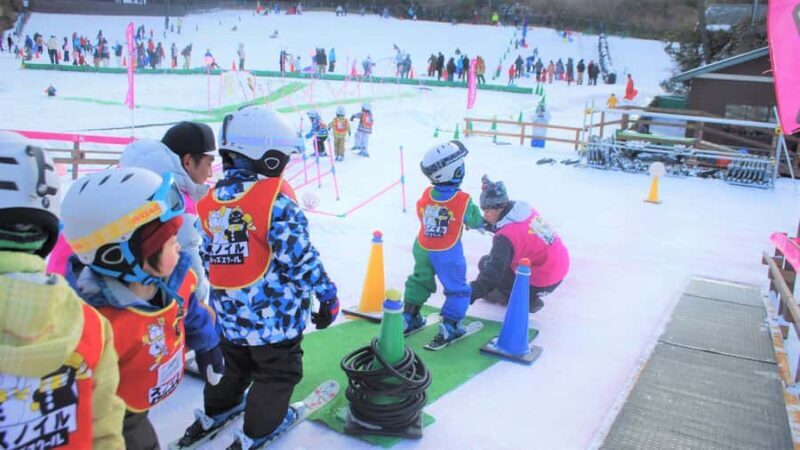 Osaka: Rokko Snow Park Winter Ski Day Tour optional lesson - Who Should Book This Tour?