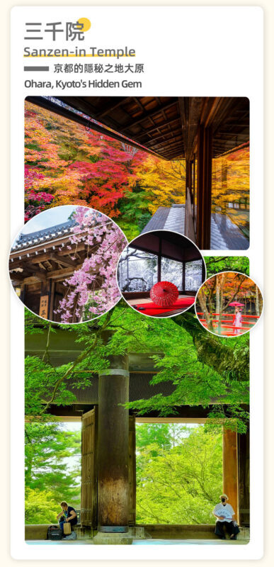 Osakas 4 Major Attractions: Lake Biwa & La Collina Day Trip - What the guide and bus add