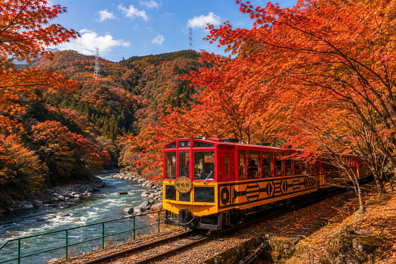 Osaka Sagano Romantic Train and Hozugawa River Cruise Day Tour - A day that trades city streets for a river valley