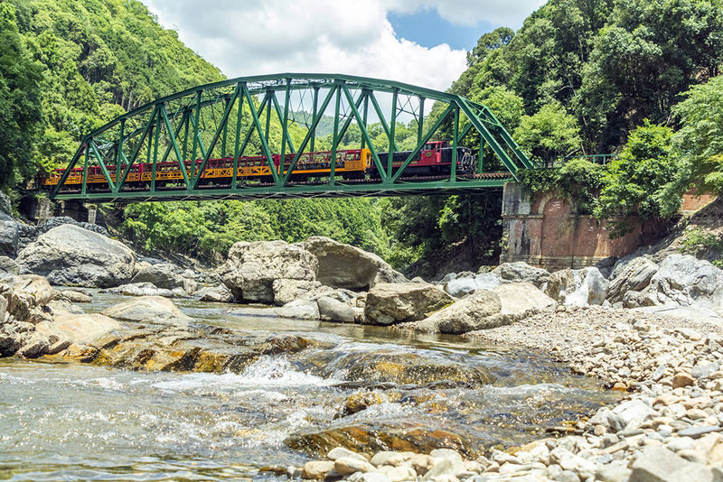 Osaka Sagano Romantic Train and Hozugawa River Cruise Day Tour - The guide can make a group tour feel easy